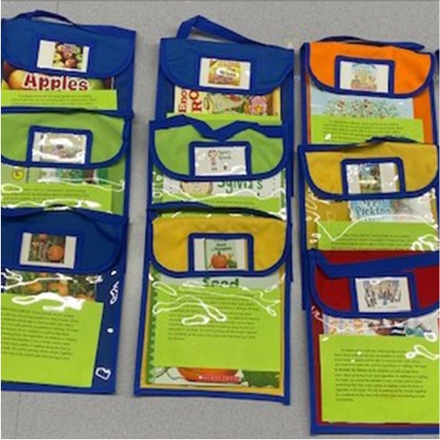 A set of book bags with different pictures on them