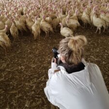 Copy Of Gabbi Taking Photos Of Turkeys