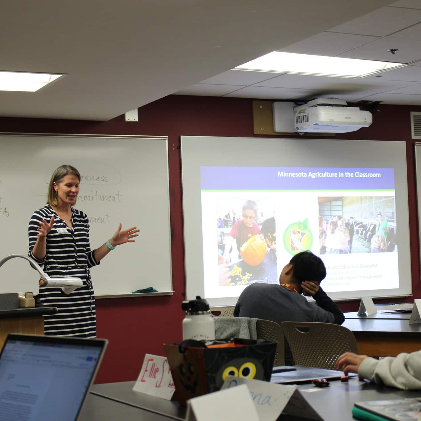 Professional Development