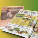 History Spotlight from the 1990s Building Momentum