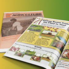 History Spotlight from the 1990s Building Momentum