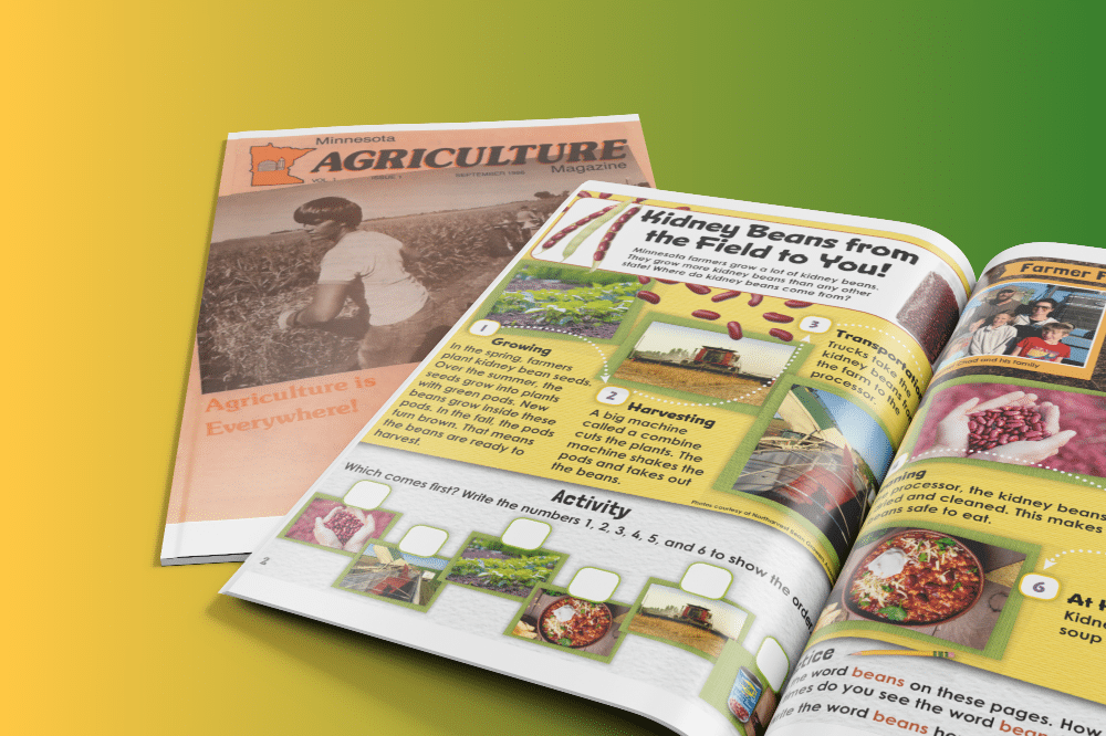 History Spotlight from the 1990s Building Momentum