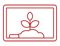 Classroom Champion Red 200x154